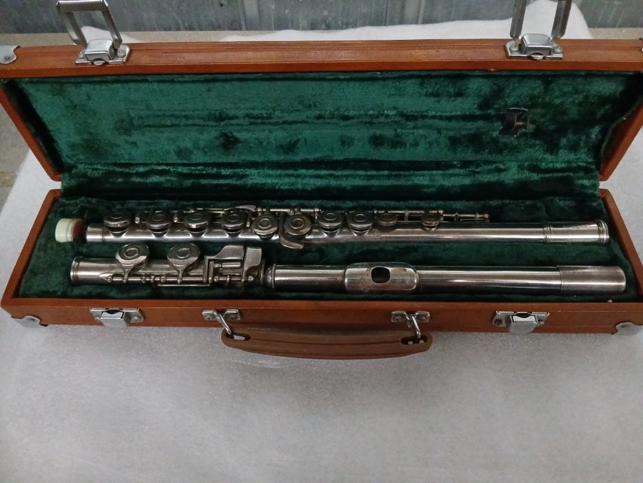 Цитра ,китара електрическа, бас флигорна, тромпет и флейта