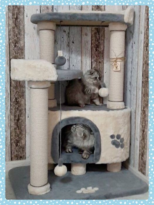 Дом когтеточка  для кошки!
