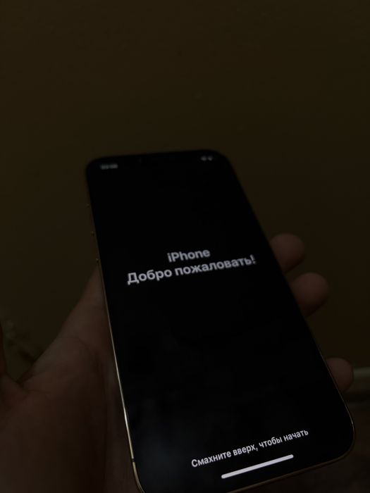 PRODAM Iphone 12 pro