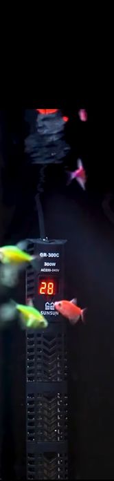 Încălzitor acvariu digital