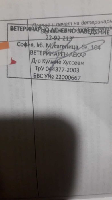 Нюфаундленд на три месеца