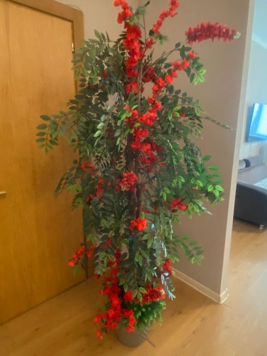 Продам Арку из цветов