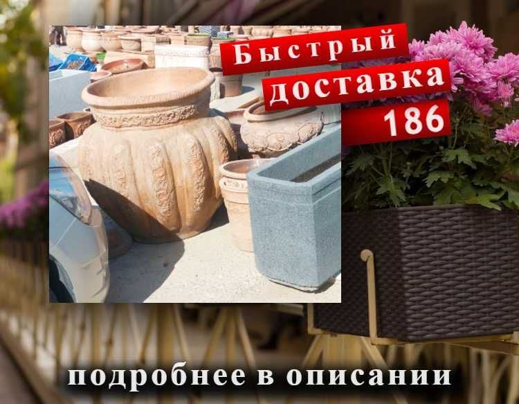 Горшок для лимона: куда посадить лимонное дерево