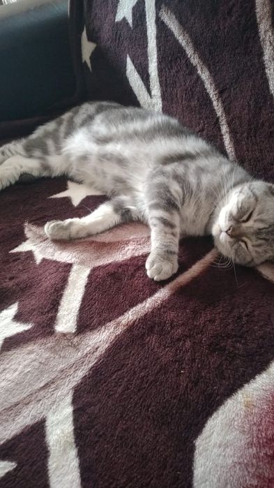 Девочка,британка,стерилизована.