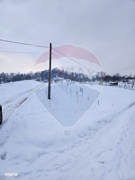 Teren 4,301mp Barsana / Strada Principala