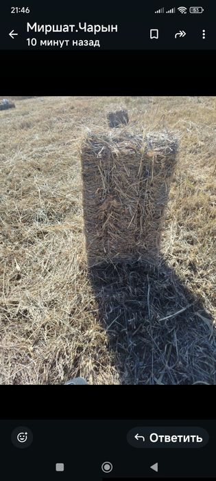 Продам сено разнотрав