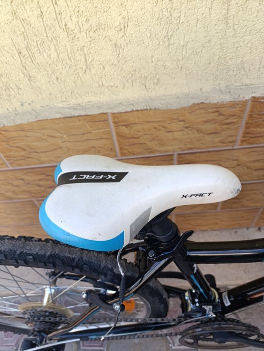 X - Fact 24 цола. .