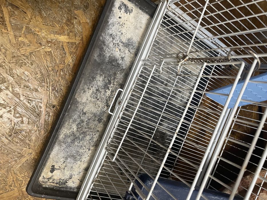 Клетка Б/У в хорошем состоянии