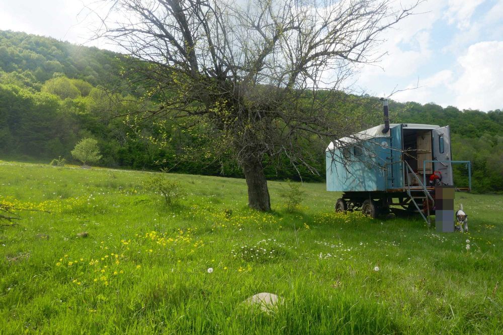 Продава се Земеделски имот в с. Стеврек, Област Търговище -  кв.м за 1980 €/дка - Снимка #3