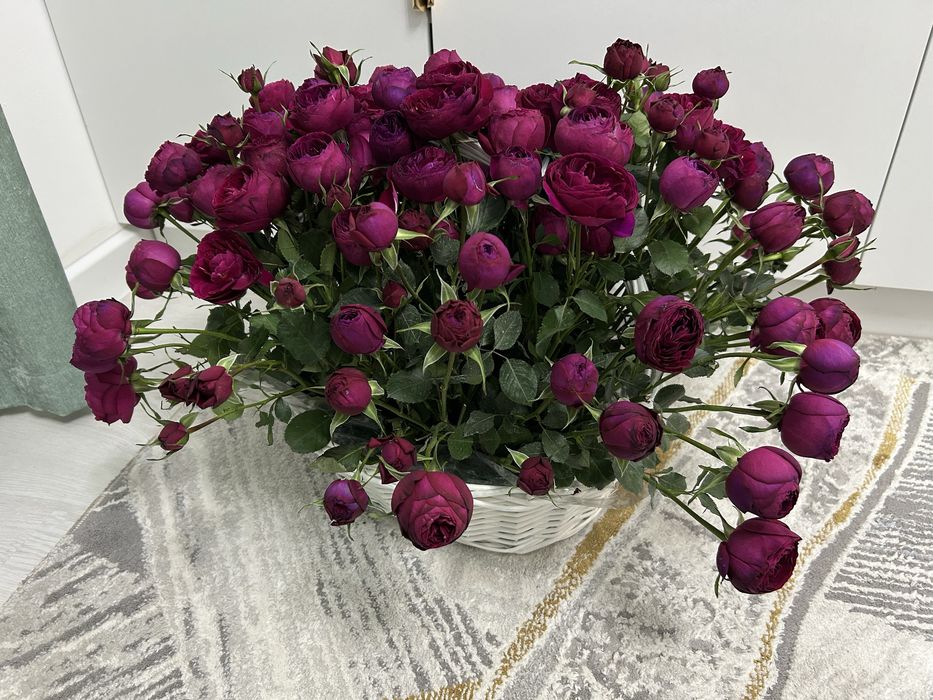 Болшой шикарный букет