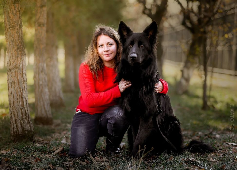 Передержка животных! Любовь и забота о вашем питомце!