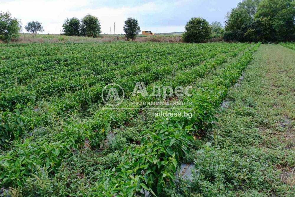 Продава се Земеделски имот в Разград, Център -  кв.м за 24000 €/дка - Снимка #6