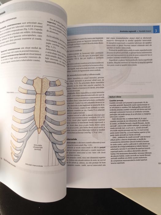 Anatomia lui Gray pentru studenți  vol 1