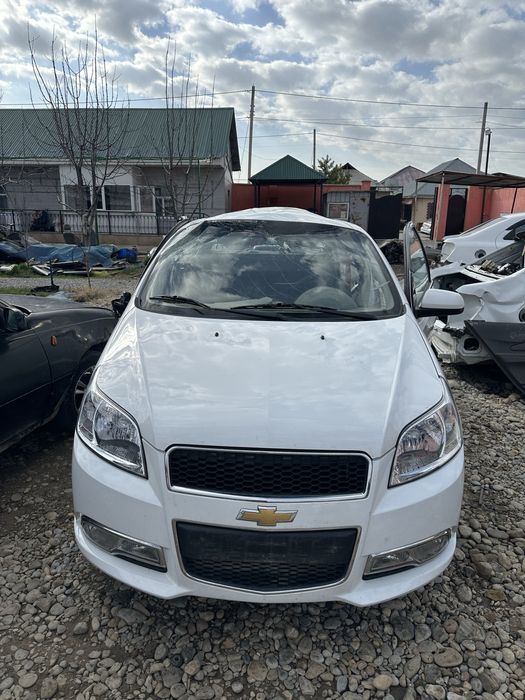 Кобал равон нексия