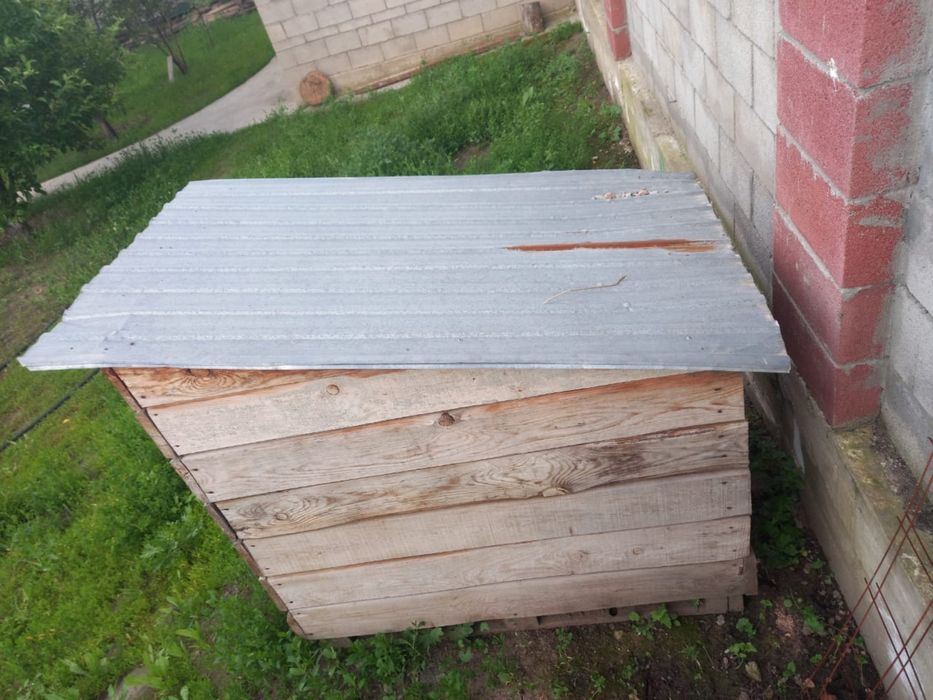 Иттің ұясын сатамын