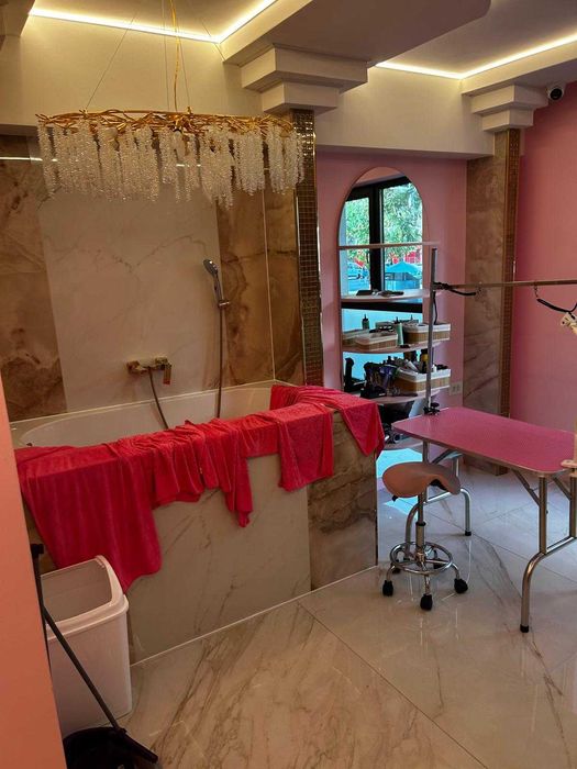 Închiriere salon cosmetică animale – Afacere la cheie