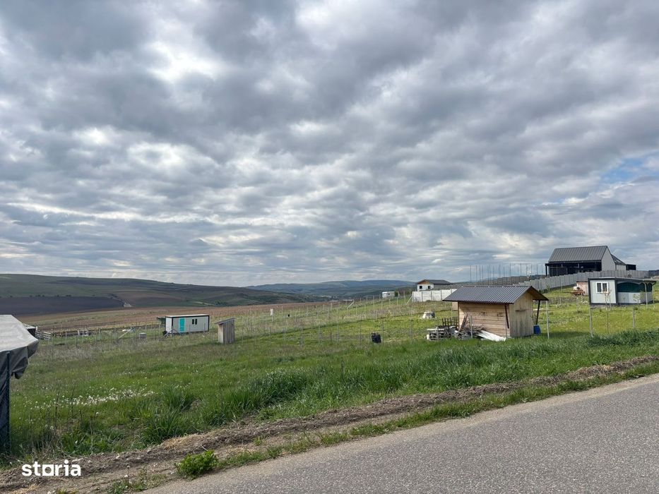 Teren intravilan Rediu/ asfalt