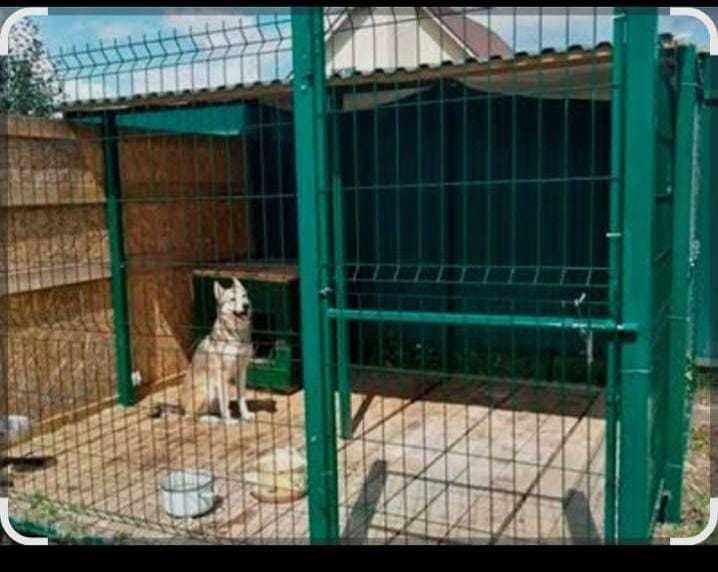 Вольеры для собак из 3Д сетки