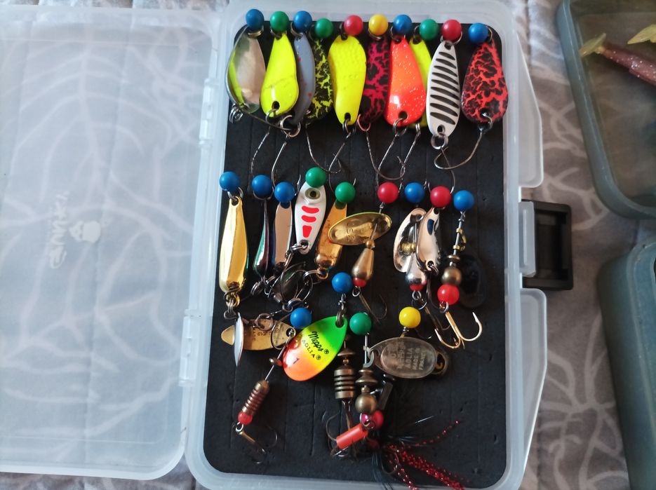 Tailwalk Dageki & Shimano Stradic