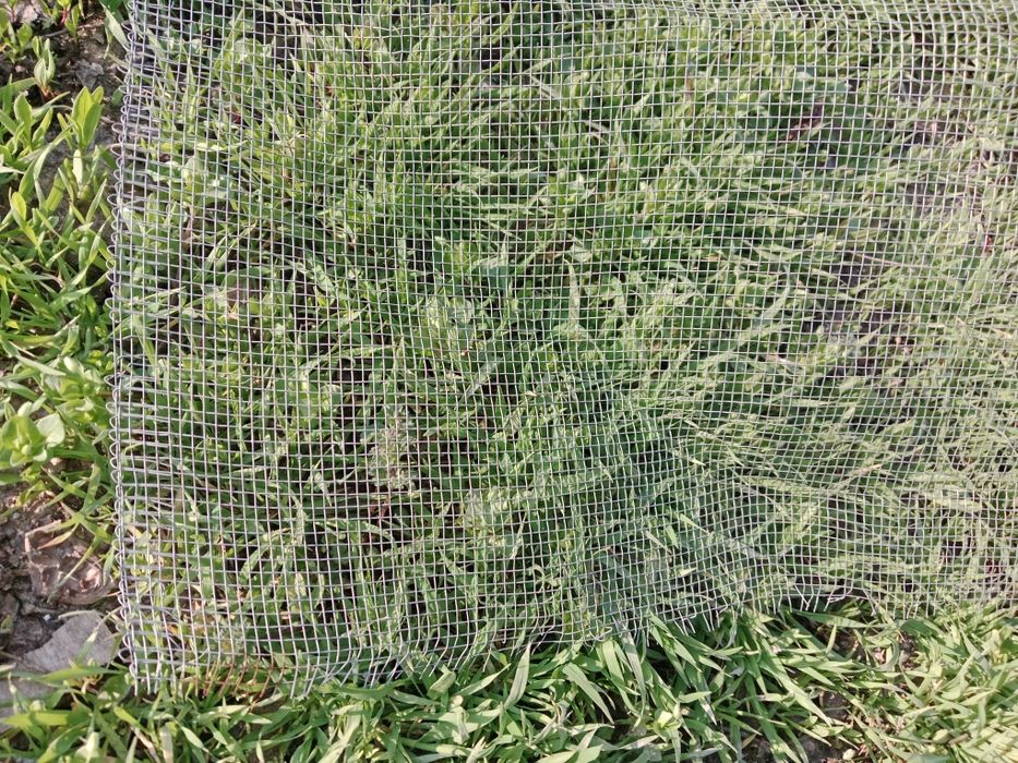 Сетка нержавейка 100смх50см