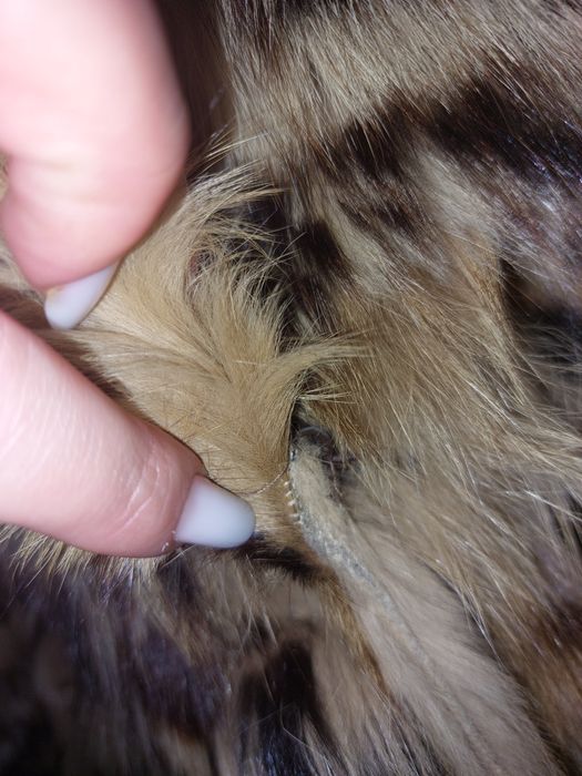 Blana naturala marime L -XL