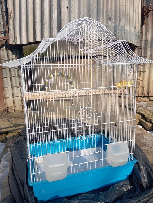 Vând colivie papagali