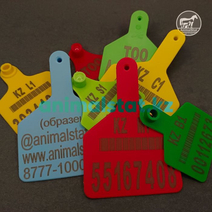 Чипирование – это просто, быстро и надежно!