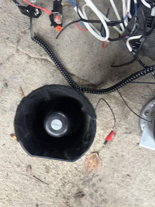 Serena elena smerch arginal