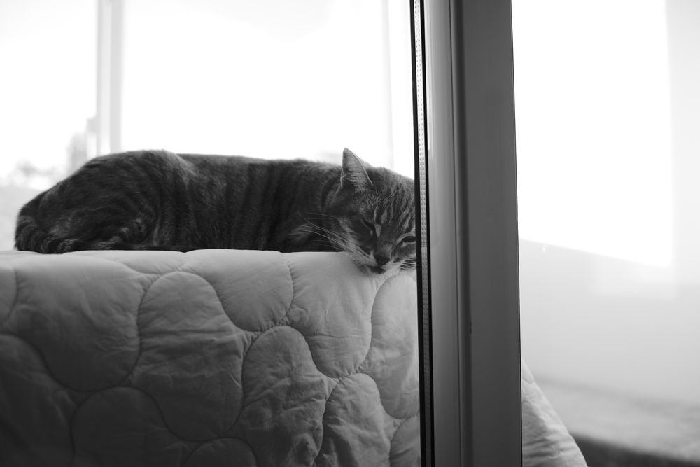 Voigtlander Nokton Classic 35mm f1.4 II SC - montura Leica M