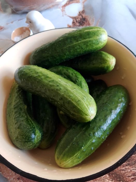 Продаю огурцы домашние