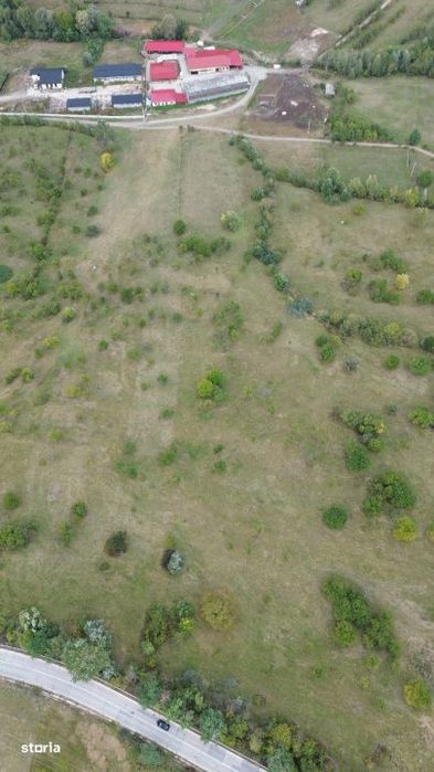 Teren 8.043 mp la DN73C Berevoesti – 3€/mp! Oportunitate rara