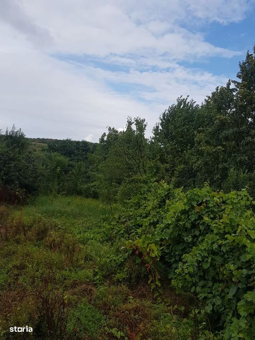 Teren de vânzare în Bucium, 1000mp, acces asfaltat