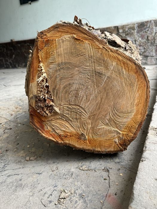 Dekaratsiya va narsalar yasash uchun mosbolgan