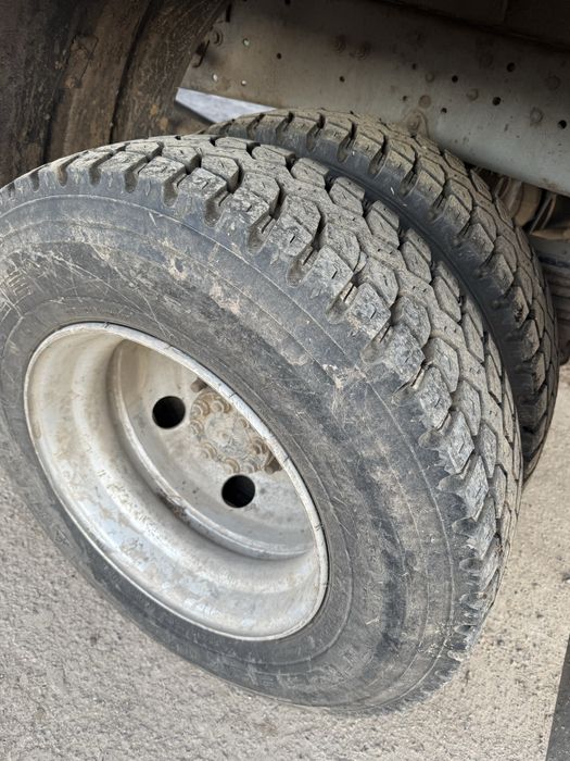 Обмен на бычков коров телят