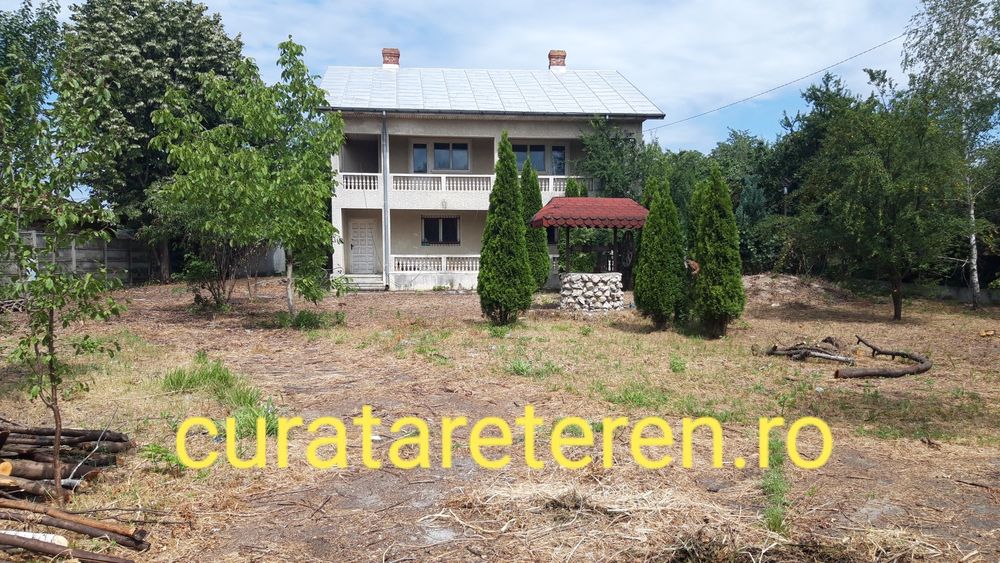 Curatenie curti, servicii gazon / amenajare curte si gradina