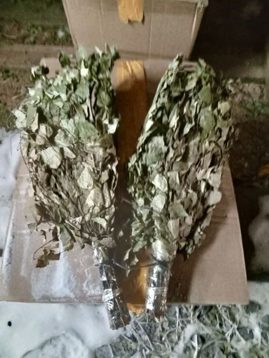 Веники берёзовые