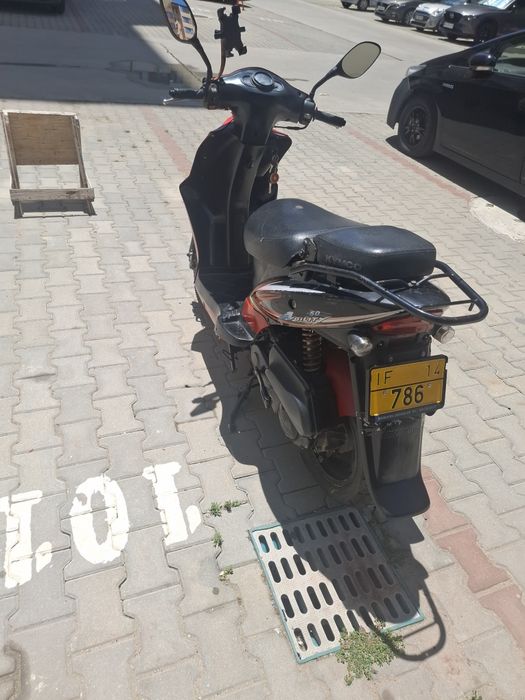 Vand  sciter 49 cu permis