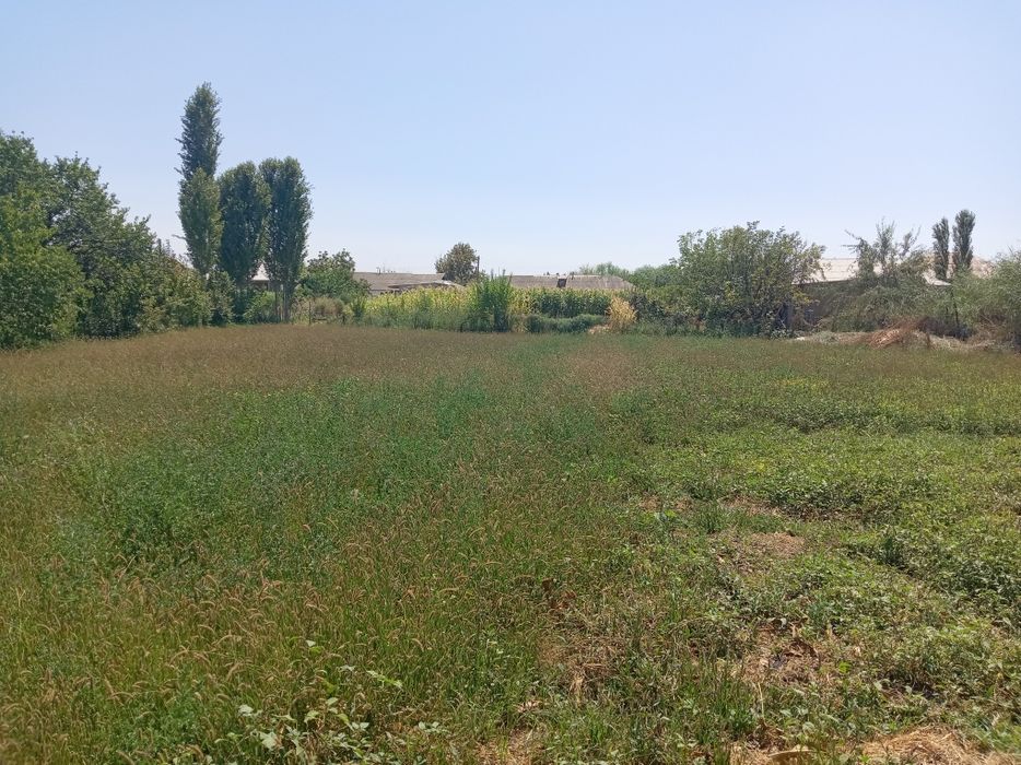 Guliston Zarbdor mahallasida 12 sotix yer sotiladi 1sotixi 3000$dan