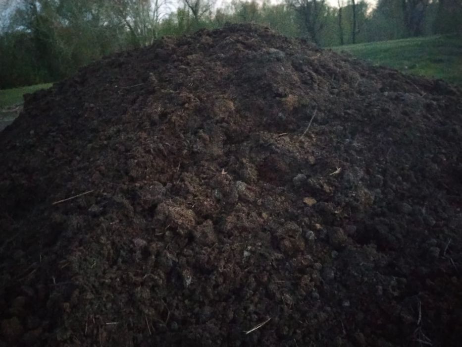 Отдам новоз бесплатно