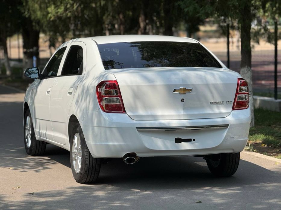 Maslo  yengi cobalt  2025