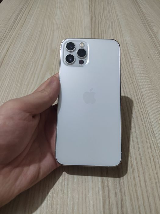 iPhone 12 pro dual sim