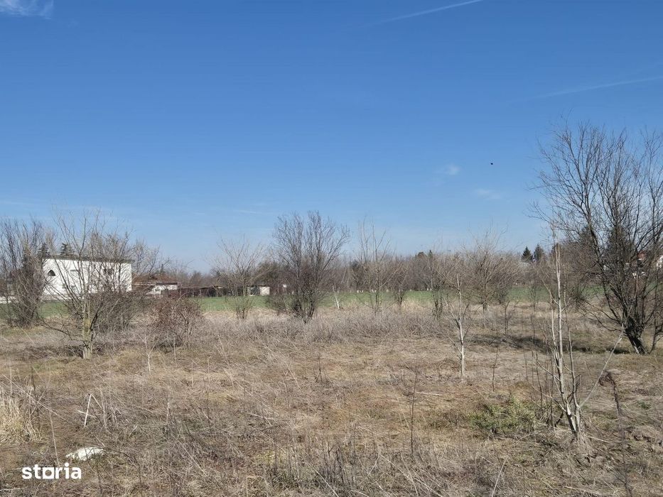 Trestieni - Ulmi, vanzare teren 1.663mp, intravilan