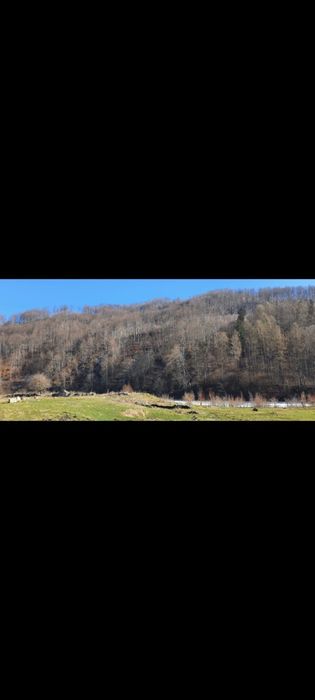 Sinaia -Moroieni Teren Intravilan