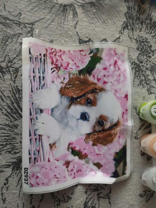 Картина (рисование по номерам).