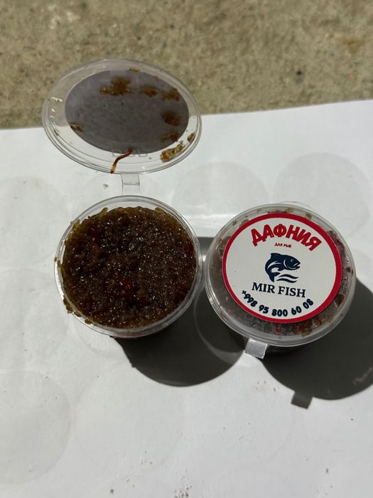 Дафния для рыб заморожен