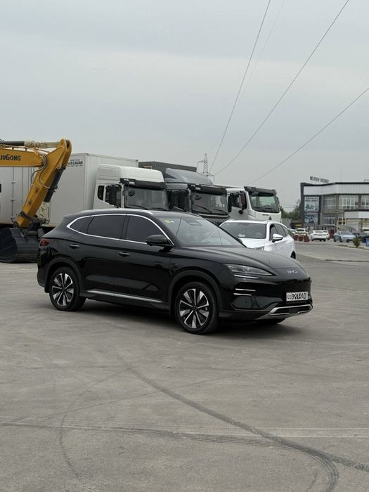 Byd chimpion smart