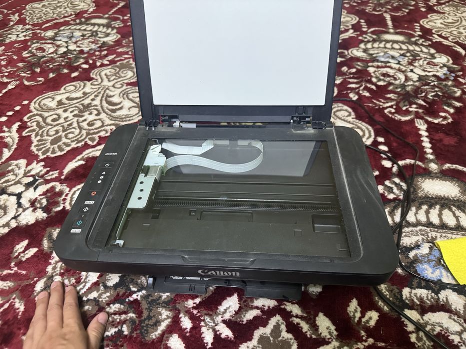 Printer Canon MG2540S