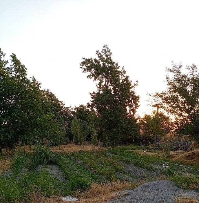 Продам Дачу 18 соток земли. Документы кадастр всё есть.