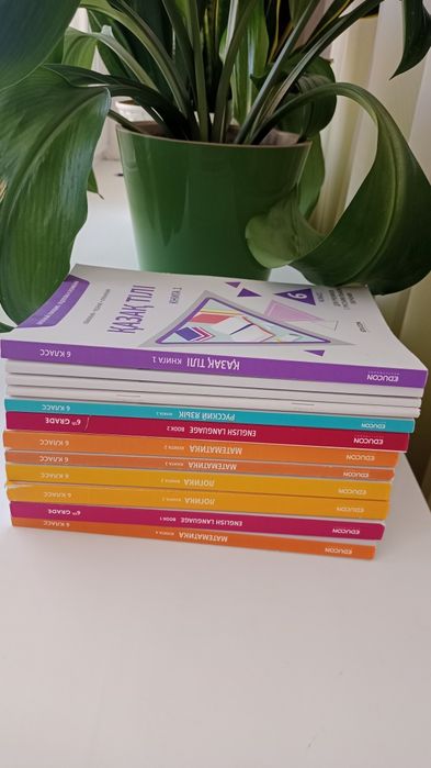 Книги в школу 6 класс