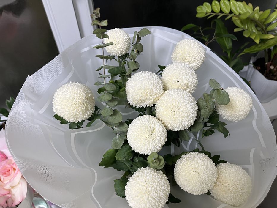 Цветы.Гул.Хризантема